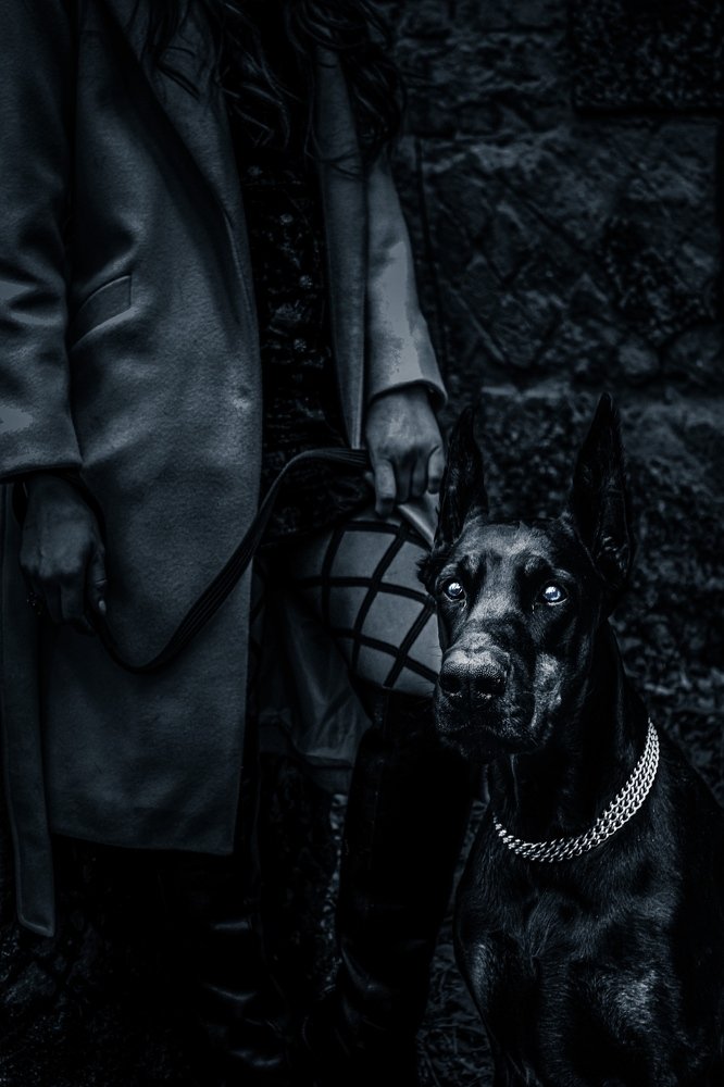 Photograph by Владислав Урдин