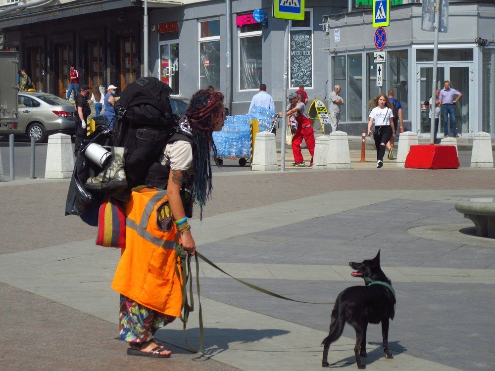 Из дальних странствий возвратясь...