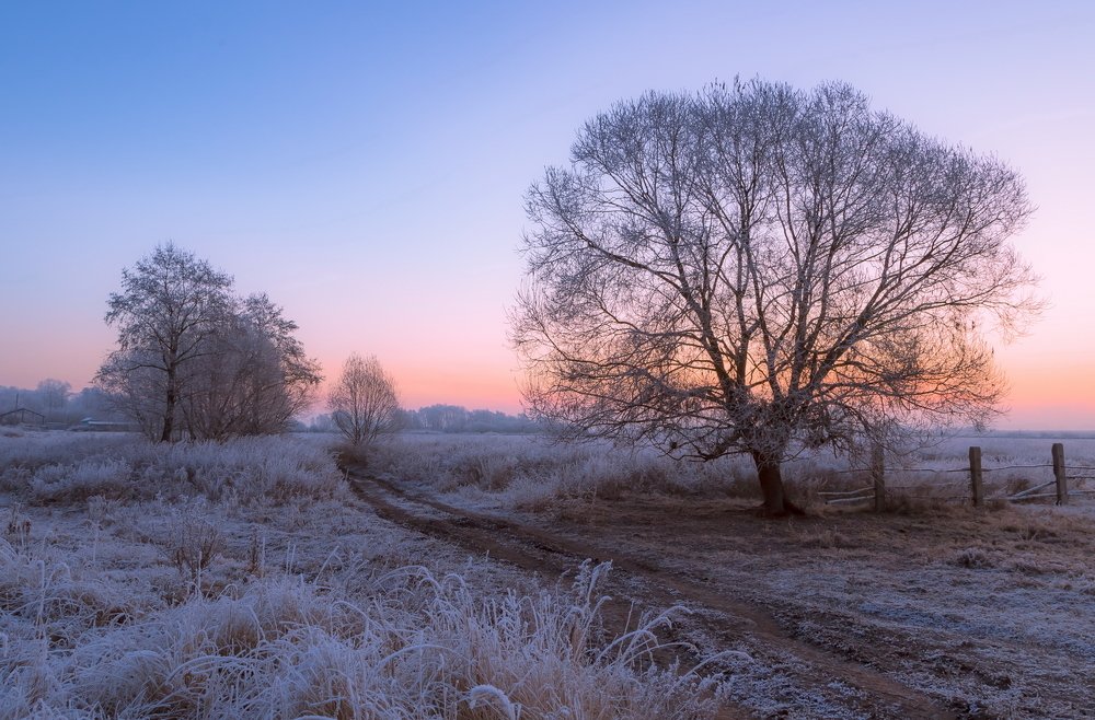 Хрустальное утро