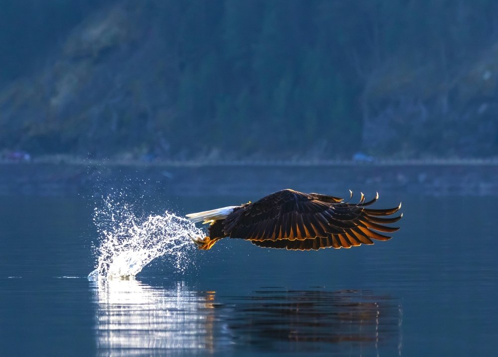 Photograph by Jim Murphy