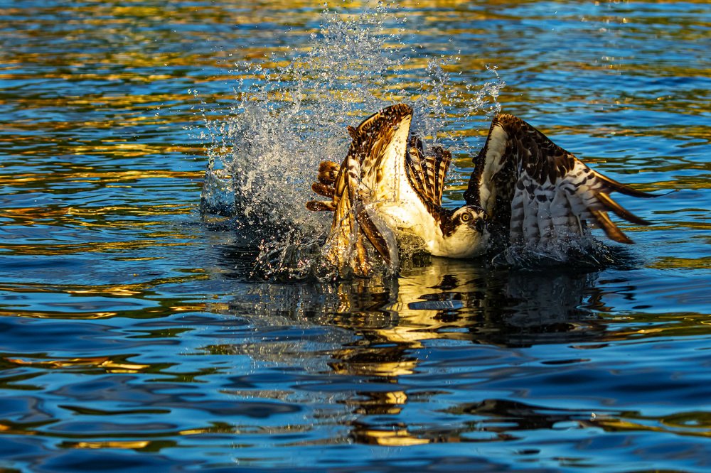 Photograph by Jim Murphy