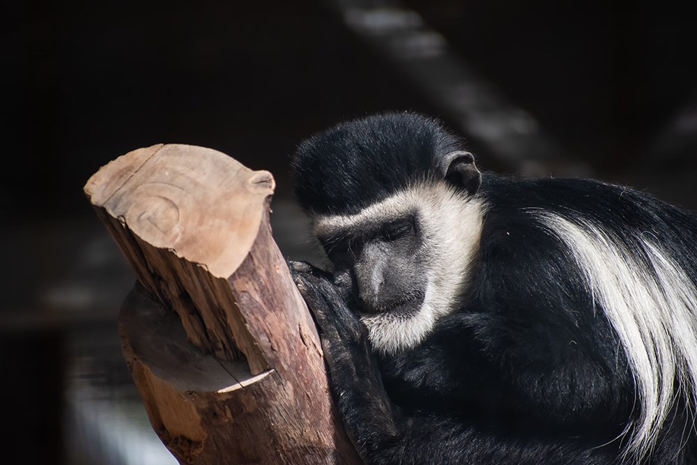 Don't knock at my door...