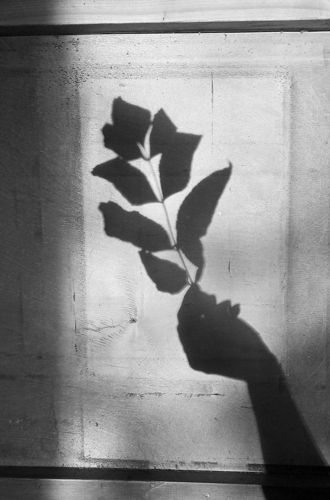 Photograph by Светлана Гок