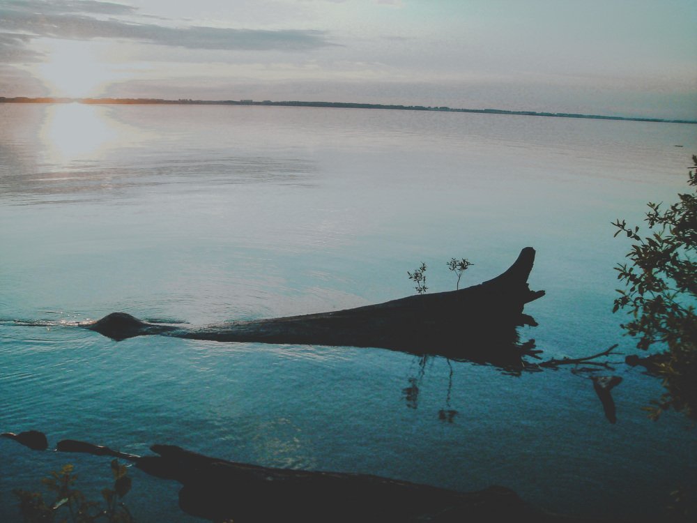 Photograph by Владислав Урдин