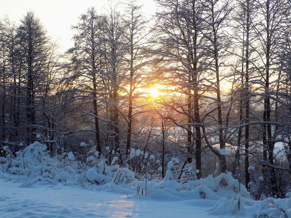 Photograph by Валентина Смирнова