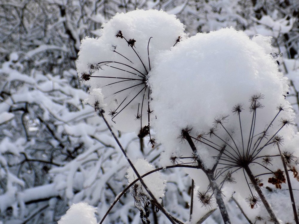 Photograph by Валентина Смирнова