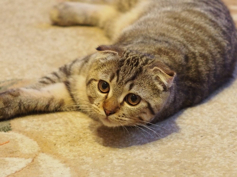 Photograph by Иван Скрипкин