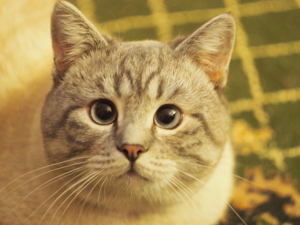 Photograph by Иван Скрипкин