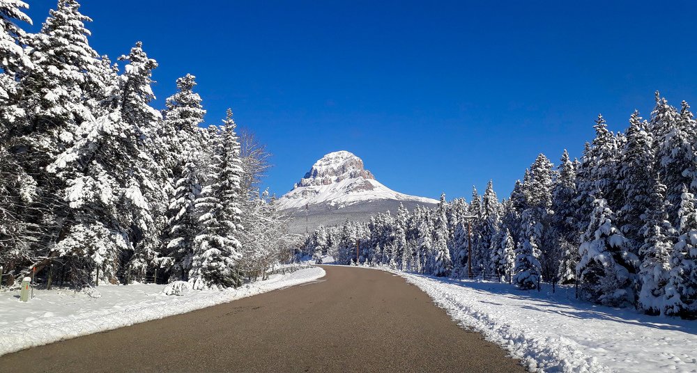 Photograph by Sandra Flores