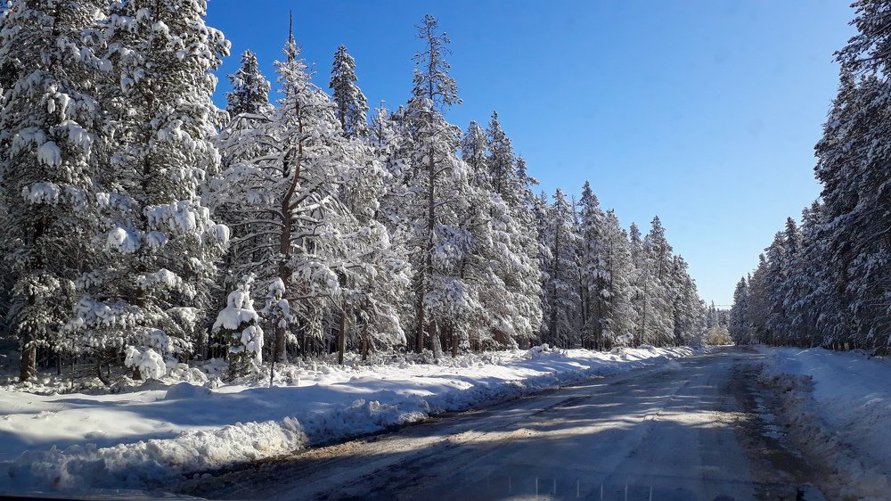 Photograph by Sandra Flores