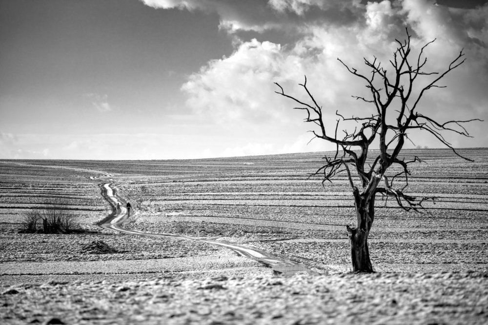 Photograph by Wiktor Baron