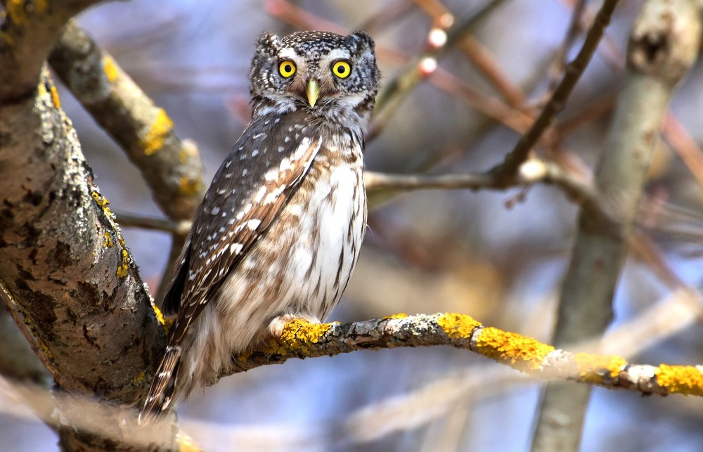 Photograph by Aleksey