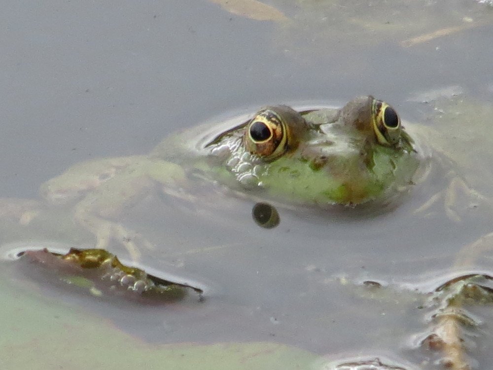 Photograph by Иван Скрипкин