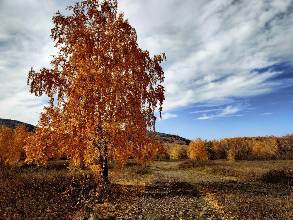 Photograph by Сошенко Эллина