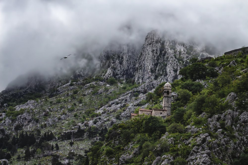 Photograph by Бистра Стоименова