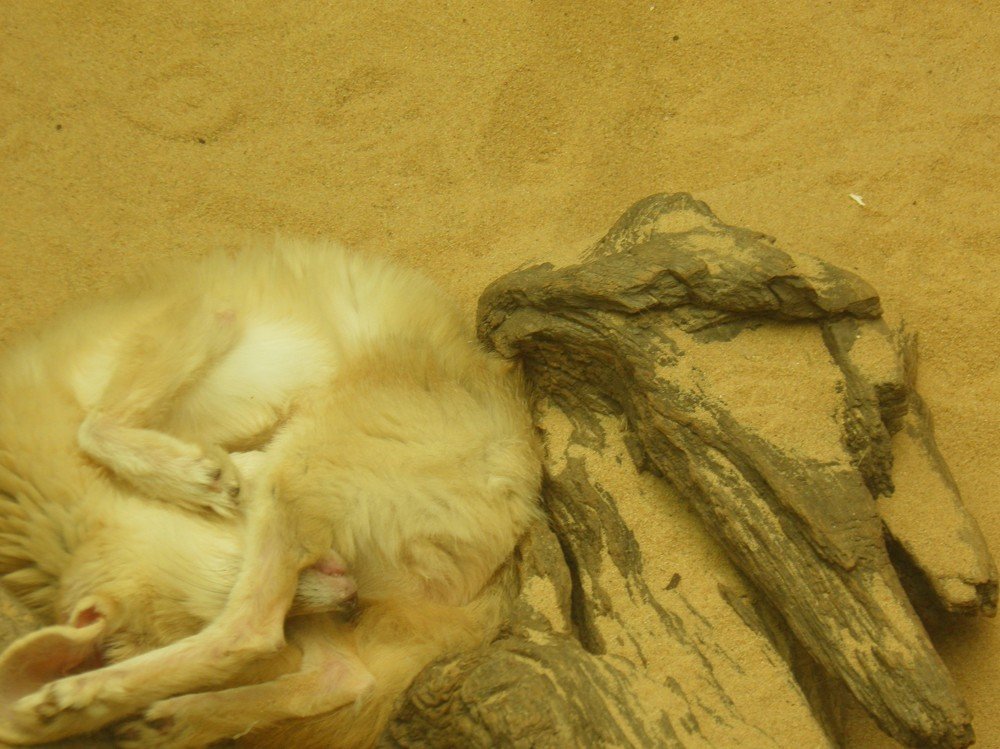 Photograph by Baiba Mennika Paegle