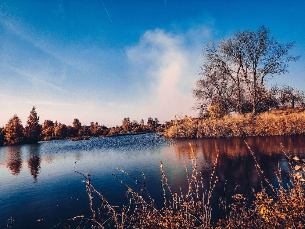 Photograph by Мария Королева