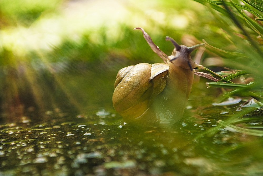 Photograph by Nataliia Dowgan