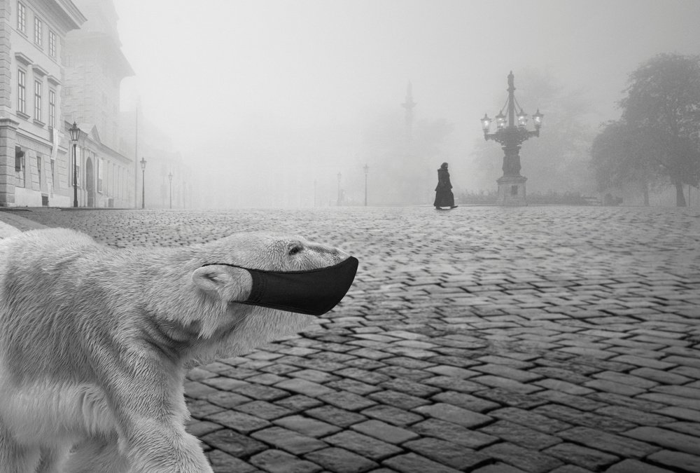 Photograph by peter cech