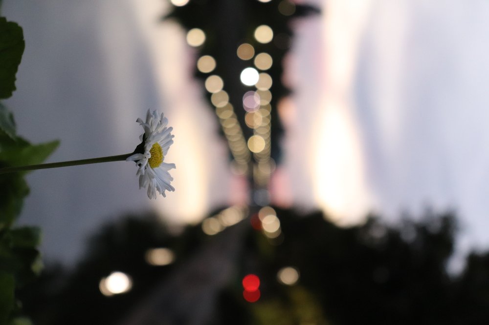 Photograph by Andreea Oancă