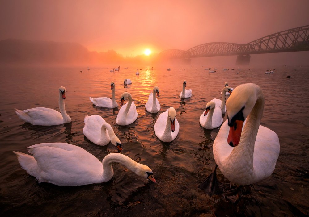 Photograph by peter cech