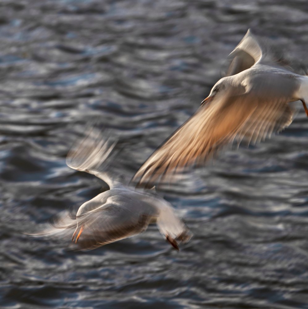 Photograph by peter cech