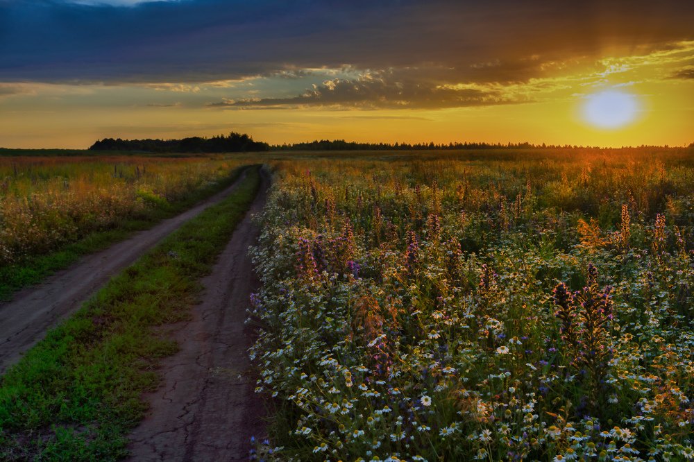 Разноцветье