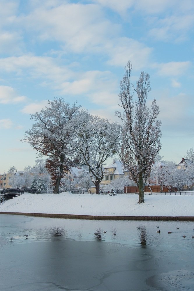 Photograph by Павел Юнусов