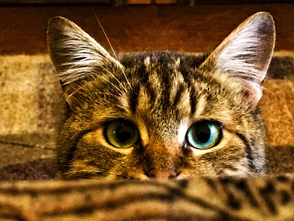 Photograph by Яна Лугинина