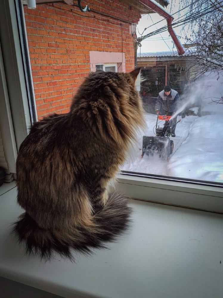 Photograph by Ринат Валиев