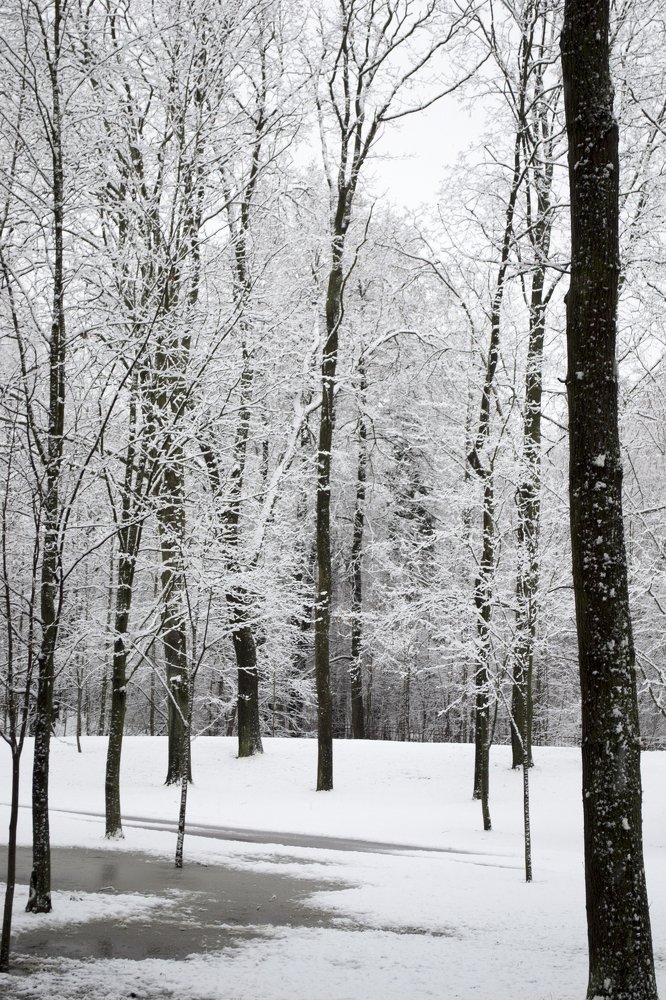 Photograph by Nora Cheprasova