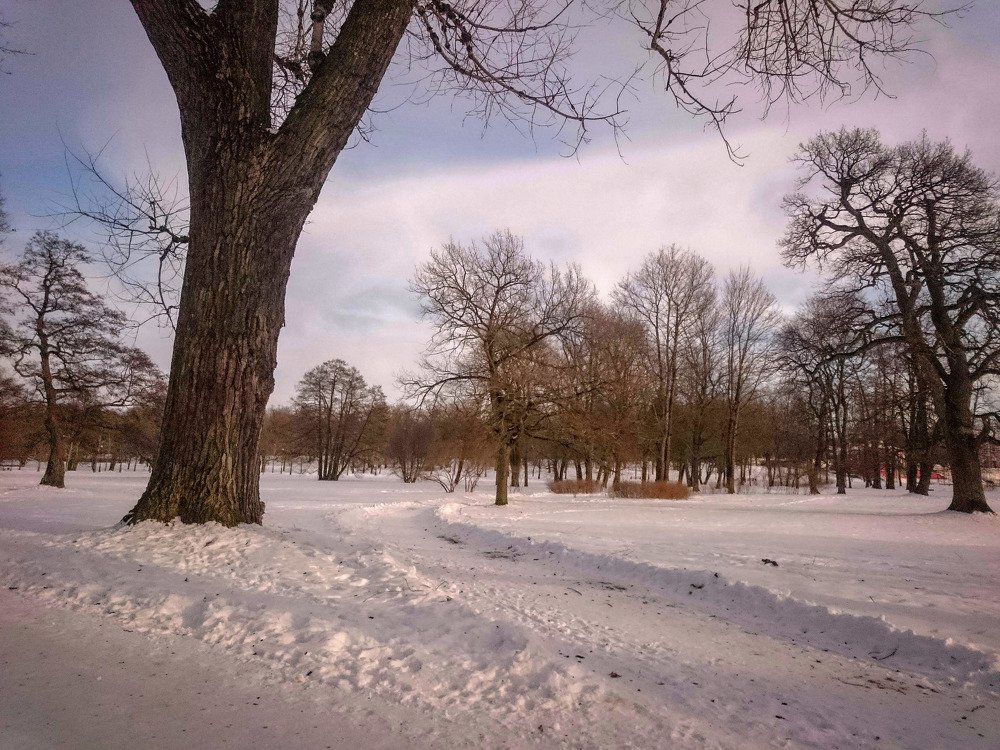 Photograph by Aleksandr Barsukov