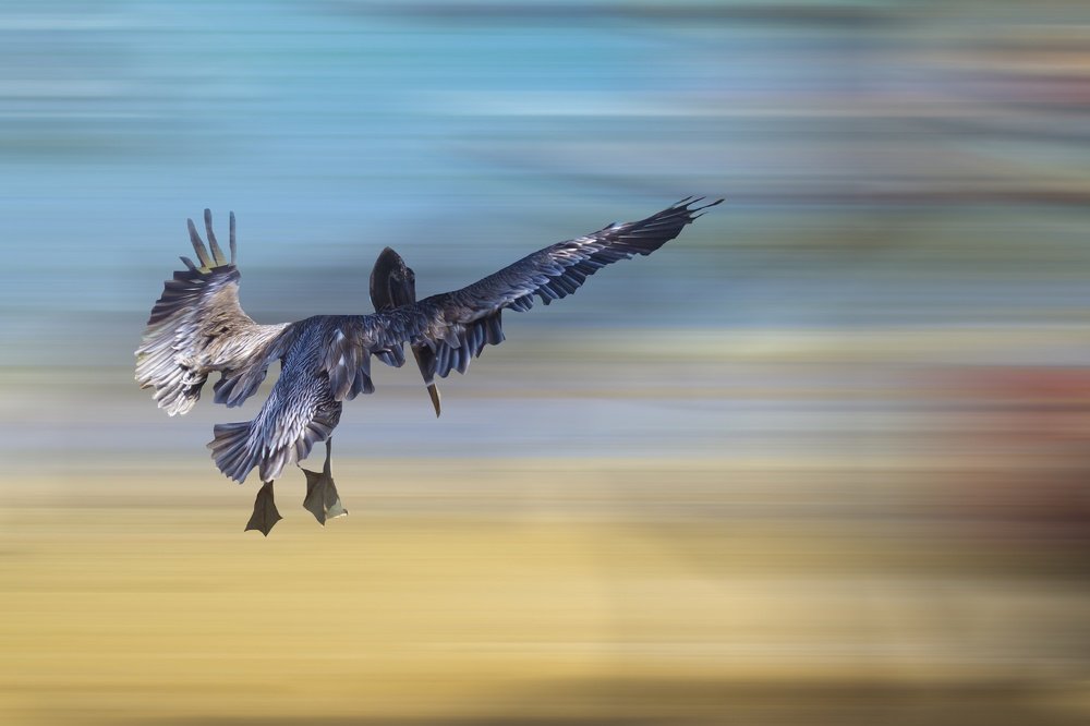 Фотография автора Yako Laverde