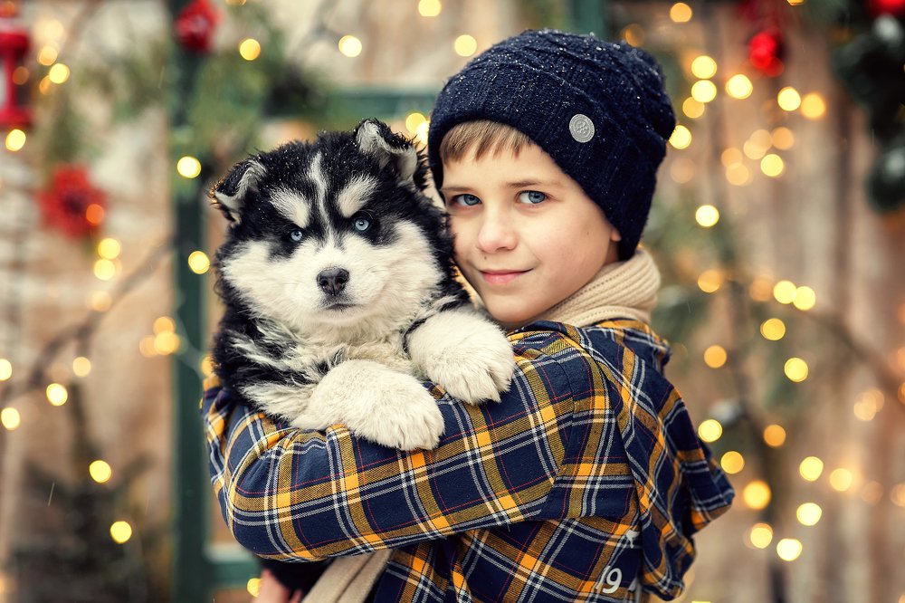 Photograph by Лазарева Юлия