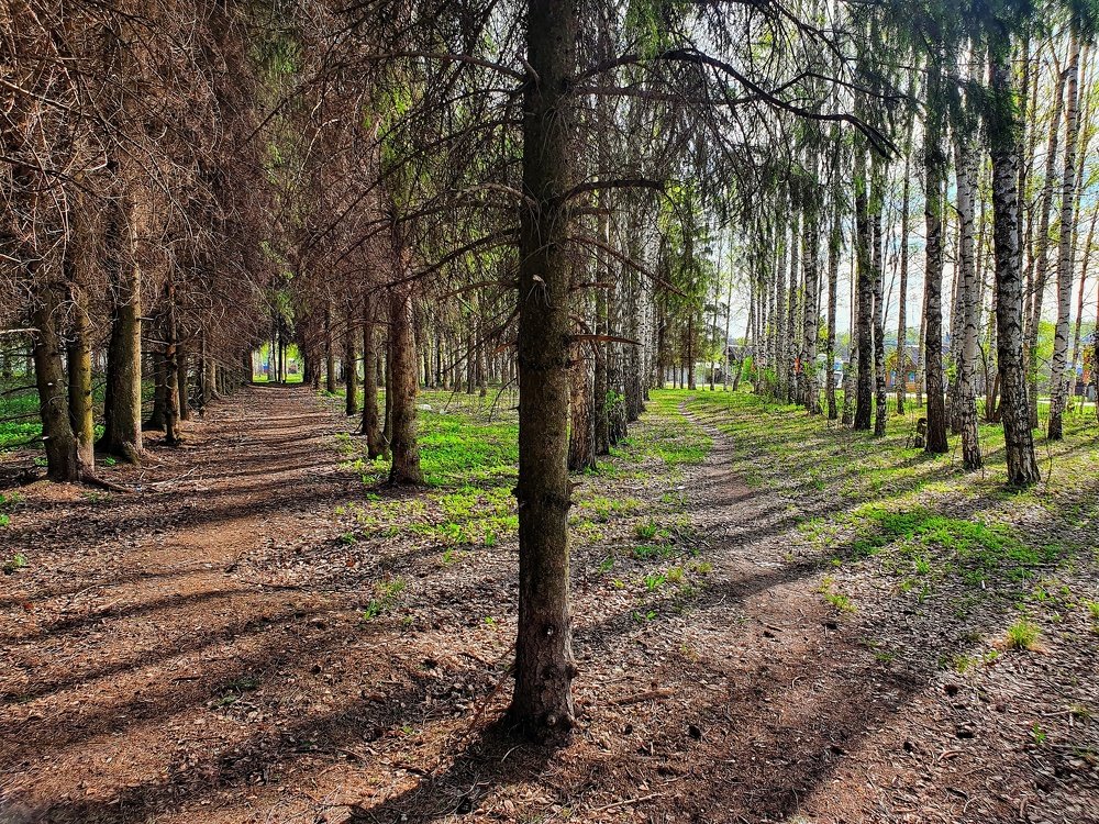 Photograph by Олег Титкин