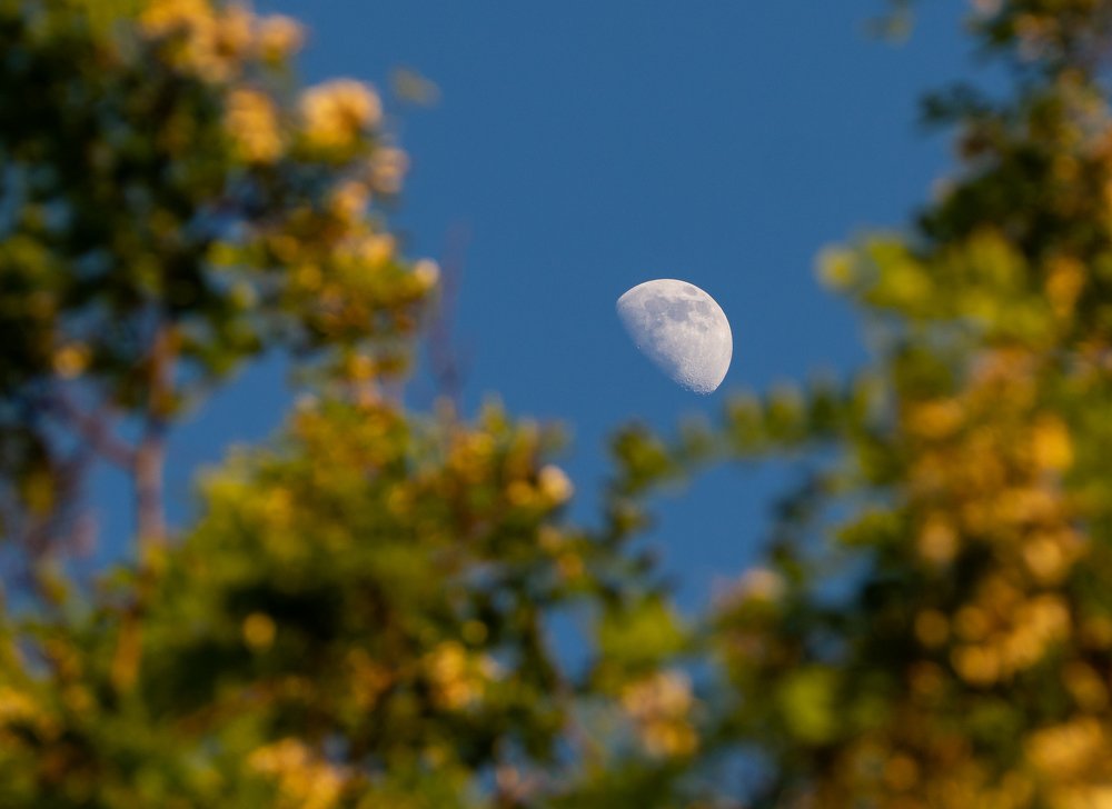 Фотография автора Александр Кротков