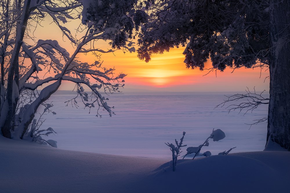 Photograph by Олег Семенкевич