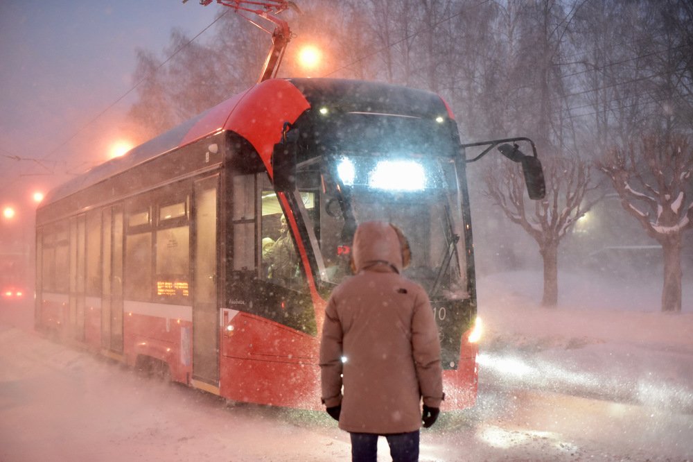 Фотография автора Павел Трегубов