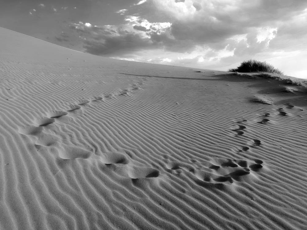 Photograph by mohammadreza behmaram