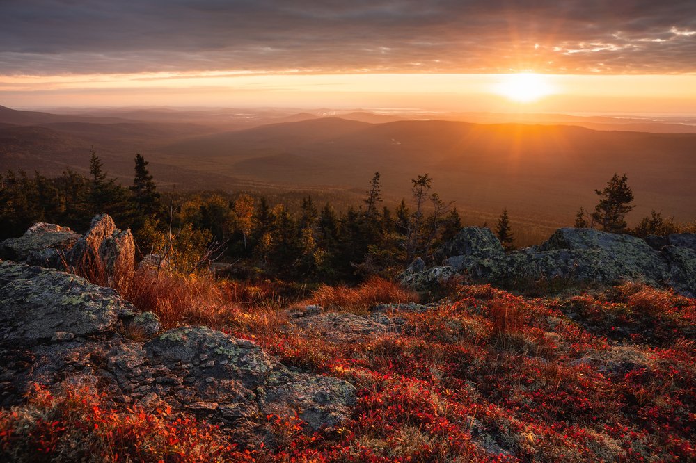 Photograph by Алексей Козаченко