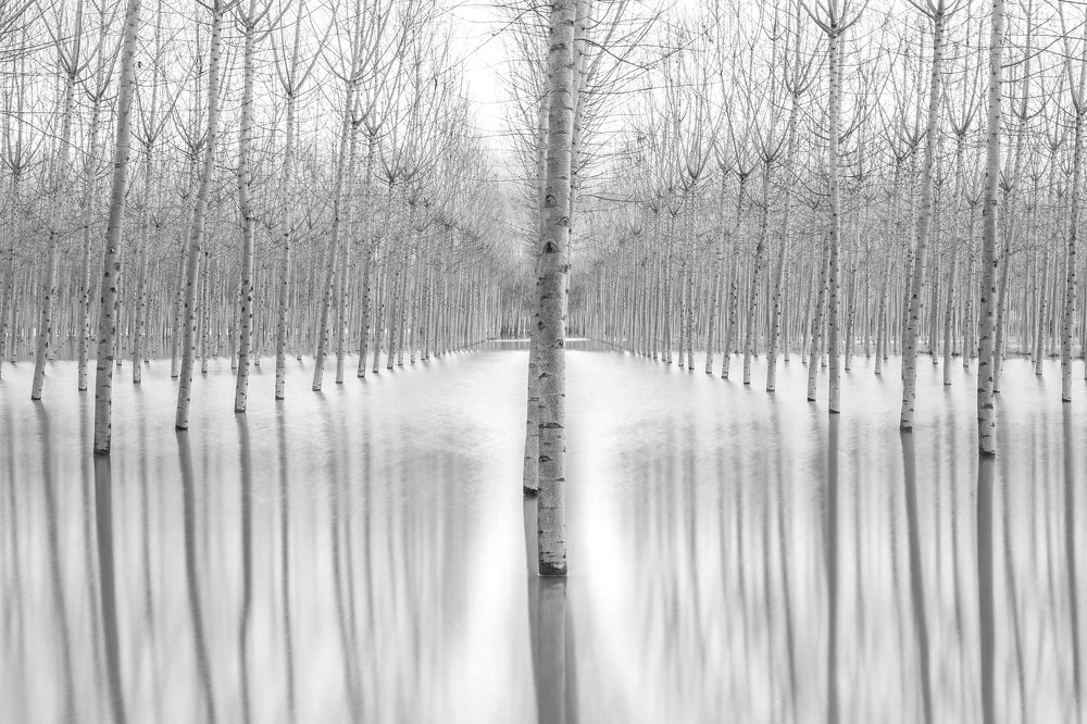 Photograph by Giuseppe Galli