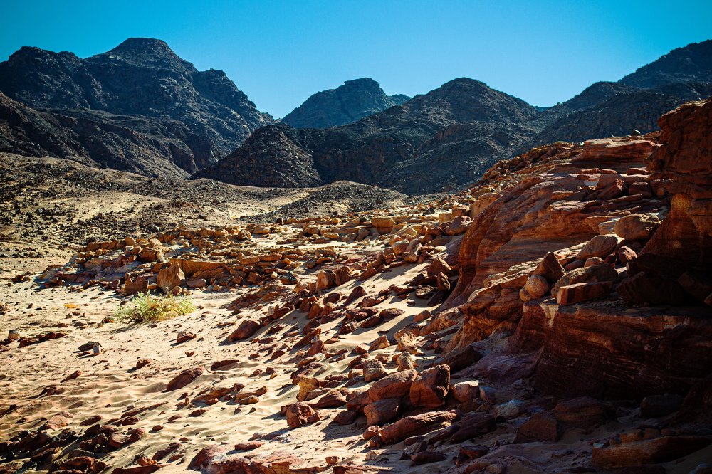 Photograph by Nora Cheprasova