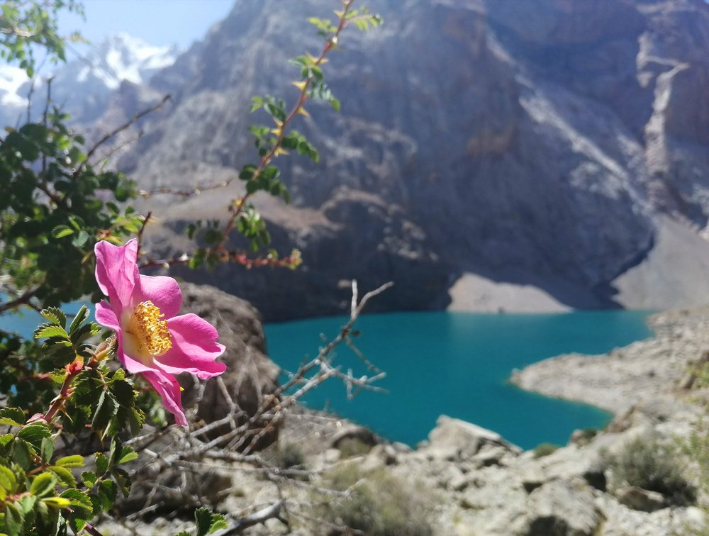 Фанские горы