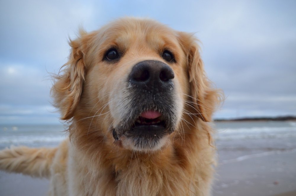 Photograph by Galina Baranovskaja