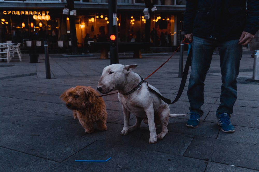 Best friends