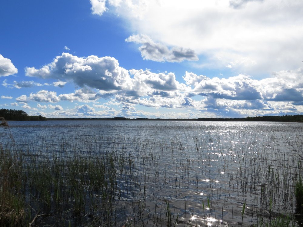 озеро Сомино