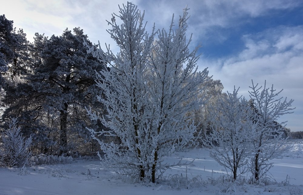 Photograph by Леонид Петруша