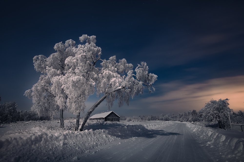 Photograph by Олег Семенкевич