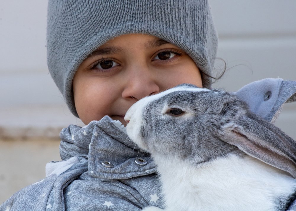 Photograph by Ali Abu Ras