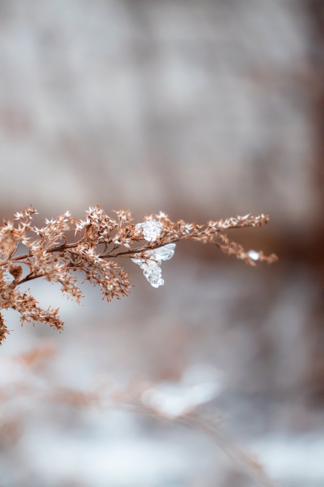 Фотография автора Daria CappuccinKo